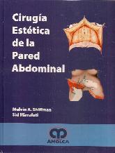 Ciruga esttica de la pared abdominal