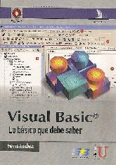 Visual Basic