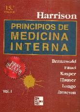 Principios de Medicina Interna Harrison 2 tomos