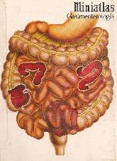 Miniatlas Gastroenterologia