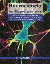 Neurociencia en esquemas