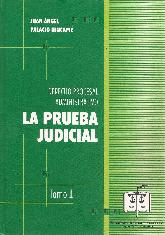 La Prueba Judicial Derecho Procesal Administrativo Tomo I