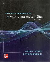 Mtodos fundamentales de economa matemtica