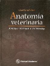 Anatoma Veterinaria