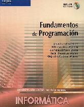 Fundamentos de Programacin