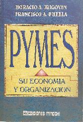 Pymes : su economia y organizacion