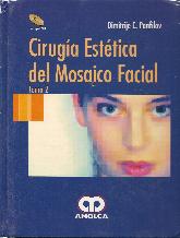 Cirugía Estética del Mosaico Facial - 2 Tomos