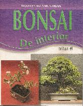 Bonsai de Interior