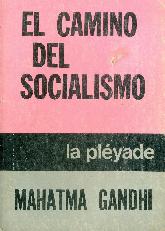 El camino del Socialismo