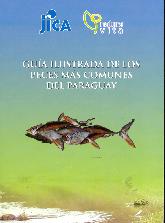 Guia ilustrada de los peces mas comunes del PAraguay