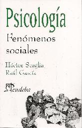 Psicologa Fenmenos Sociales