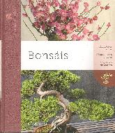 Bonsis