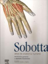 Sobotta Atlas de anatoma humana