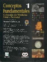 Conceptos Fundamentales