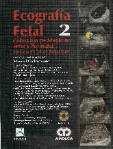 Ecografa Fetal  2 