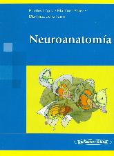 Neuroanatoma