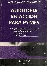 Auditoria en Accion para PYMES 2 Tomos