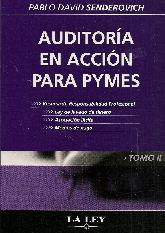 Auditoria en Accion para Pymes 2 Tomos
