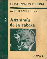 Anatomia de la cabeza