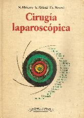 Cirugia laparoscopica