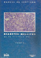 Diabetes  Mellitus 2ts