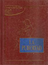 Actualizaciones en endocrinologia : la pubertad