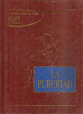 Actualizaciones en endocrinologia : la pubertad