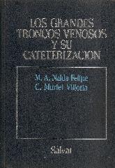 Los grandes troncos venosos y su caterizacion