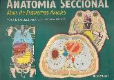 Anatomia Seccional