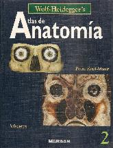 Atlas de anatomia - 2 Volmeness