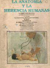 La anatomia y la herencia humana
