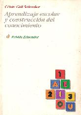 Aprendizaje escolar y construccion del conocimiento