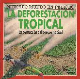 La deforestacin tropical