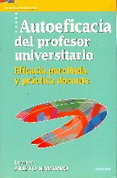 Autoeficacia del profesor universitario