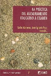 La practica del asesoramiento educativo a examen