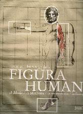 Figura Humana