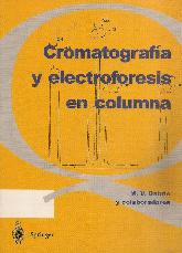Cromatografia y Electroforesis en Columna
