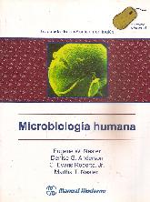 Microbiologia Humana Nester