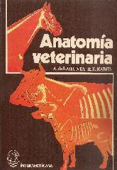 Anatoma Veterinaria