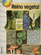El mundo del saber: reino vegetal