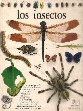 Los insectos