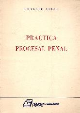 Practica procesal penal