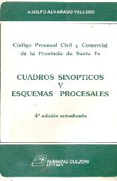 Cuadros,sinopticos y esquemas procesales