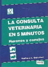 La Consulta Veterinaria en 5 minutos Hurones y Conejos