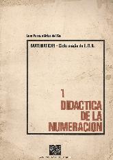 Didactica de la numeracion