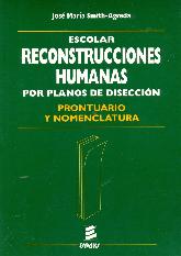 Escolar Reconstrucciones Humanas por planos de diseccin 2ts