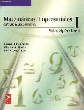 Matematicas Empresariales I enfoque teorico practico Vol I Algebra Lineal