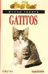 Todo sobre Gatitos