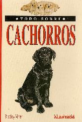 Todo sobre Cachorros