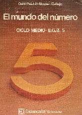 El Mundo del Numero EGB 5